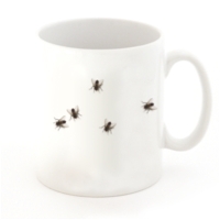 Fliegen-Tasse.jpg