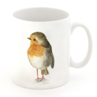 Robin-Tasse.jpg