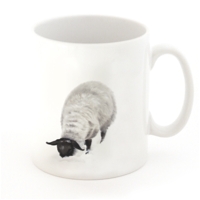 Schaf-Tasse.jpg